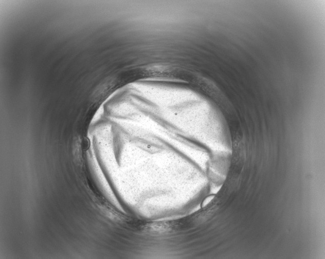 X0000053020765200508051226