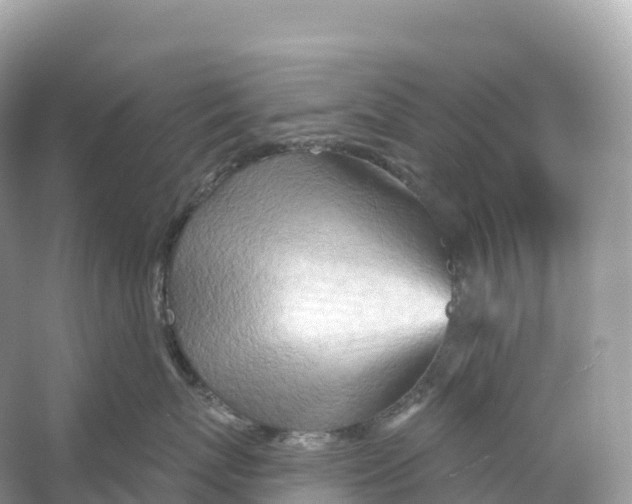 X0000053020767200508051226