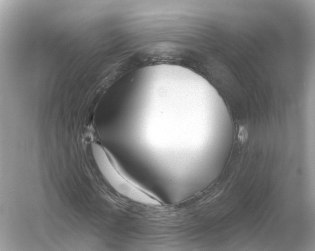 X0000053020771200508051226