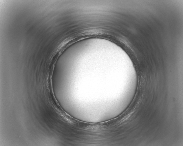 X0000053020778200508051225