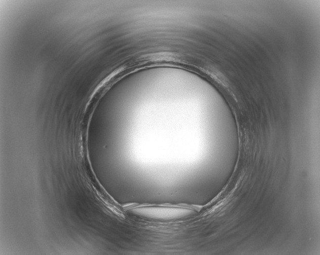 X0000053020782200508051225