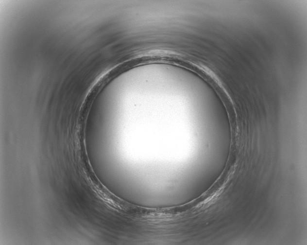 X0000053020783200508051225