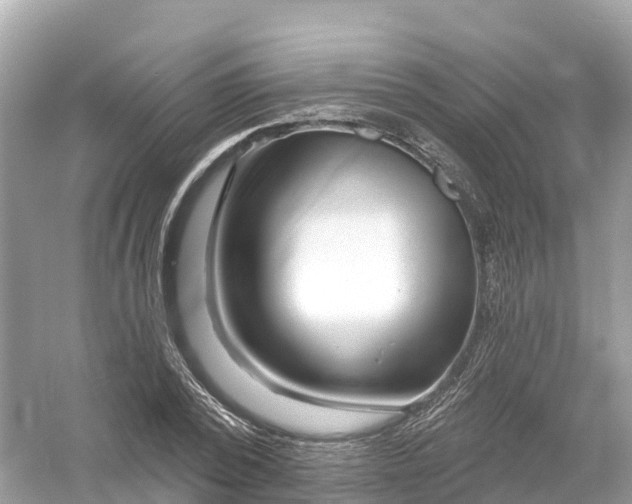 X0000053020784200508051225