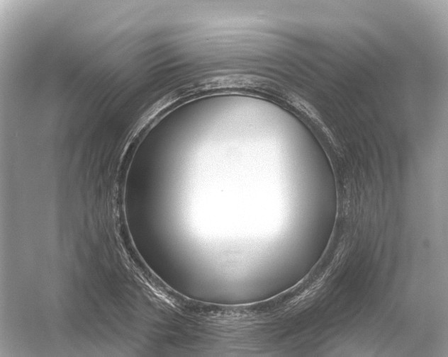 X0000053020786200508051225