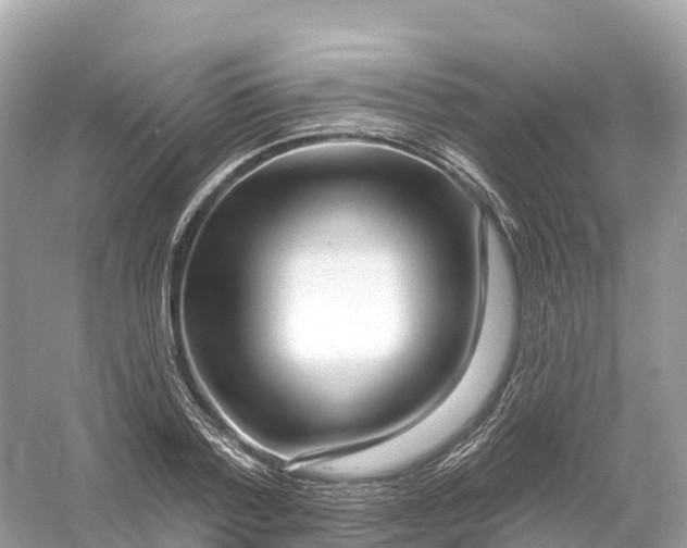 X0000053020788200508051225