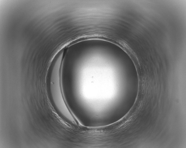 X0000053020789200508051225