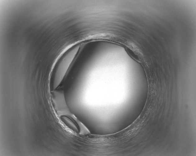 X0000053020792200508051225