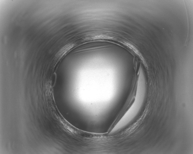 X0000053020793200508051225