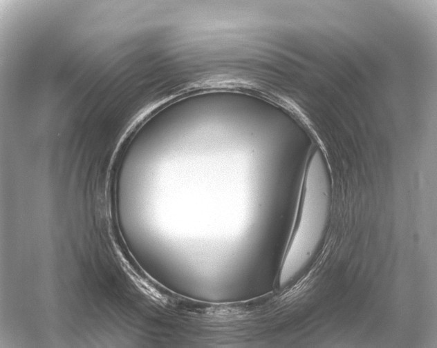 X0000053020795200508051225
