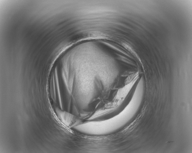 X0000053020797200508051225