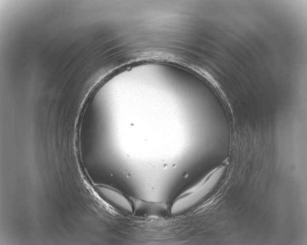 X0000053020799200508051225