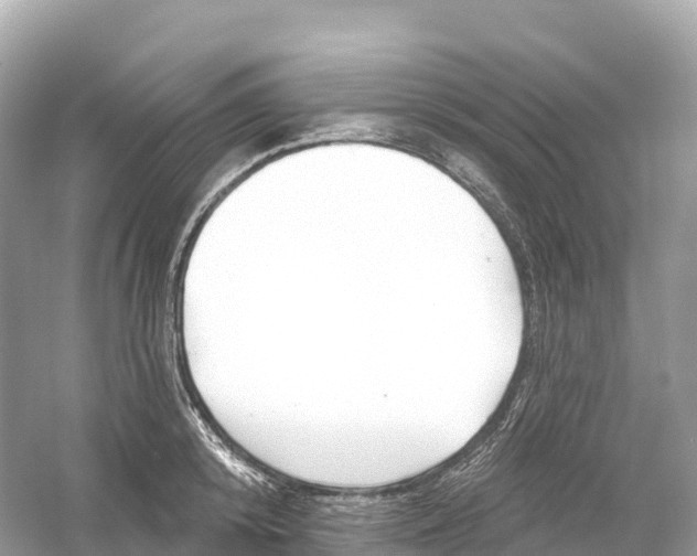 X0000053020800200508051225