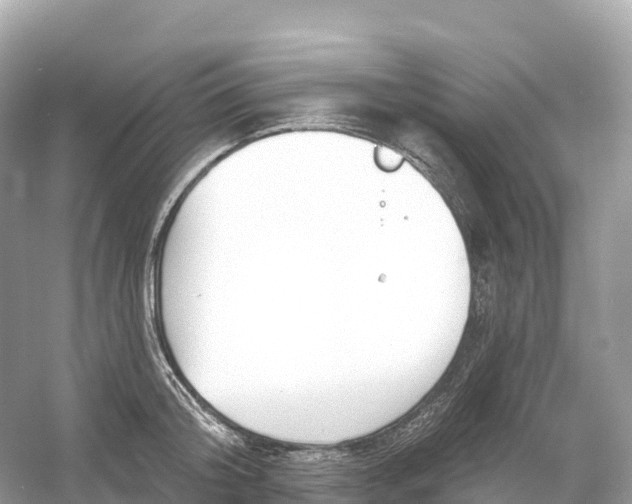 X0000053020804200508051225
