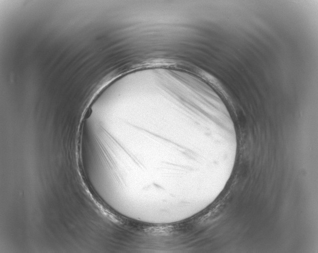 X0000053020810200508051225