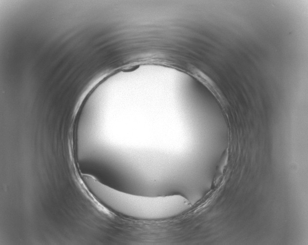 X0000053020812200508051225