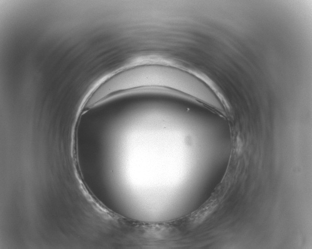 X0000053020815200508051225