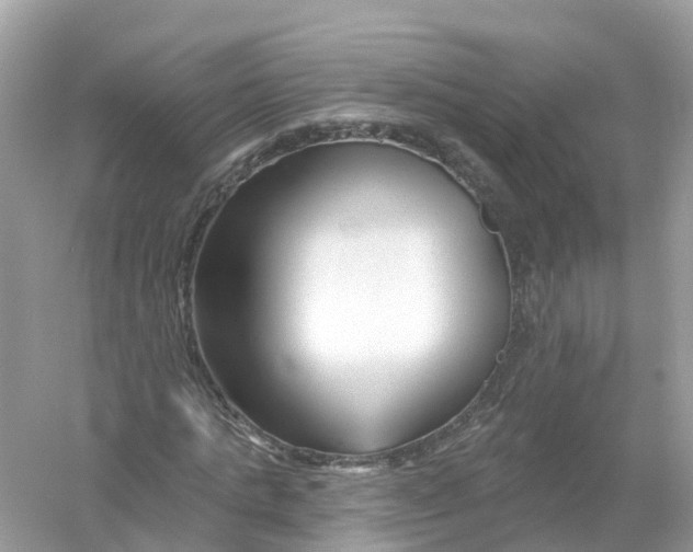 X0000053020821200508051224