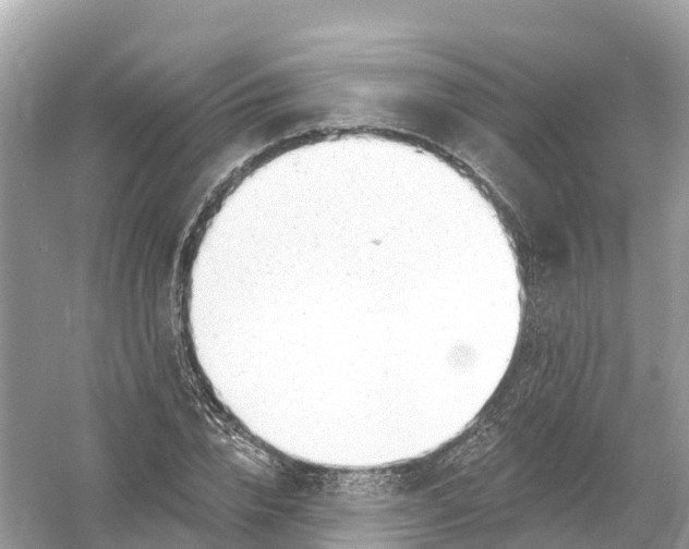 X0000053020832200508051224