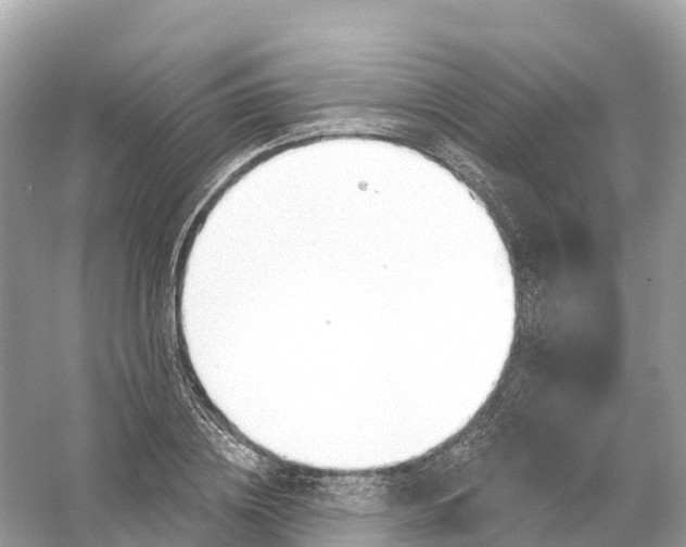 X0000053020836200508051224