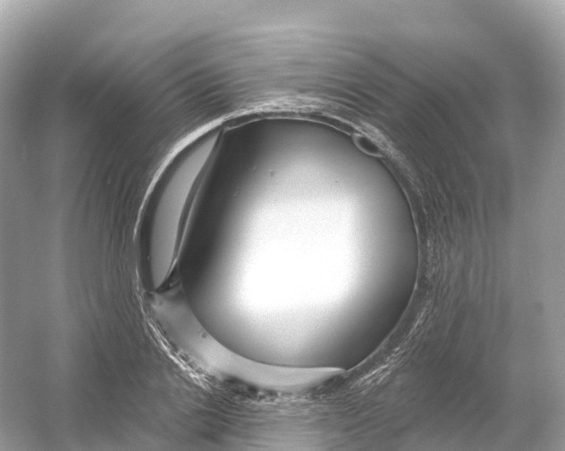 X0000053020838200508051224