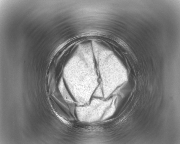 X0000053020842200508051224