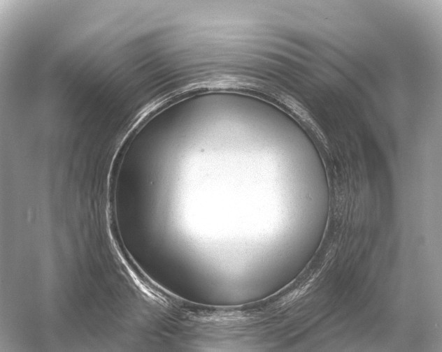 X0000053020845200508051224