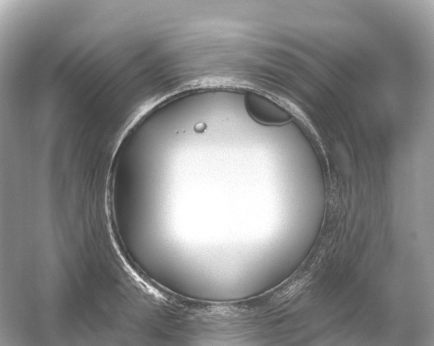 X0000053020847200508051225