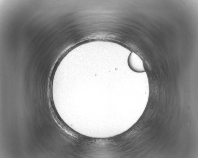 X0000053020848200508051225