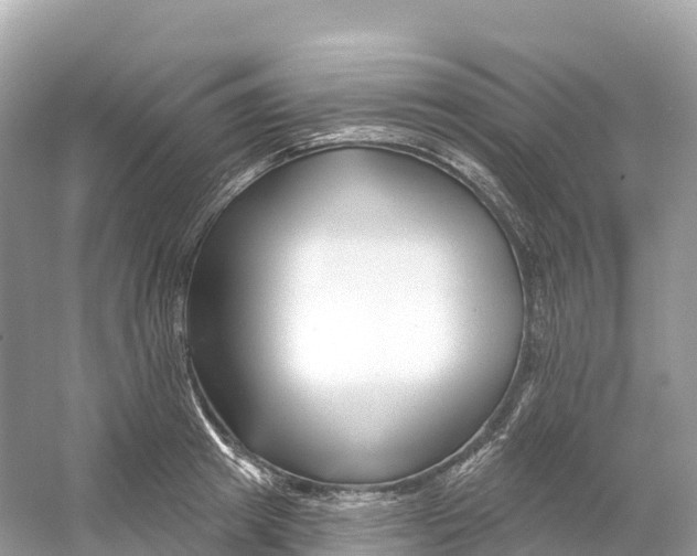 X0000053020849200508051225