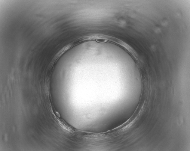 X0000053020857200508051225