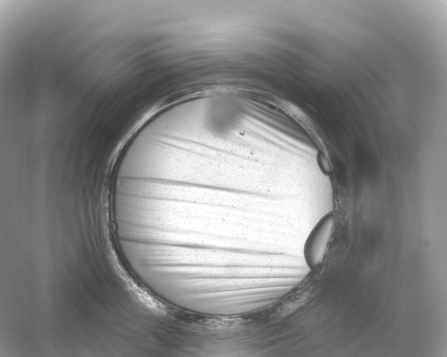 X0000053020859200508051225
