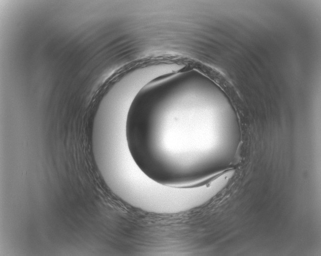 X0000053020871200508051224