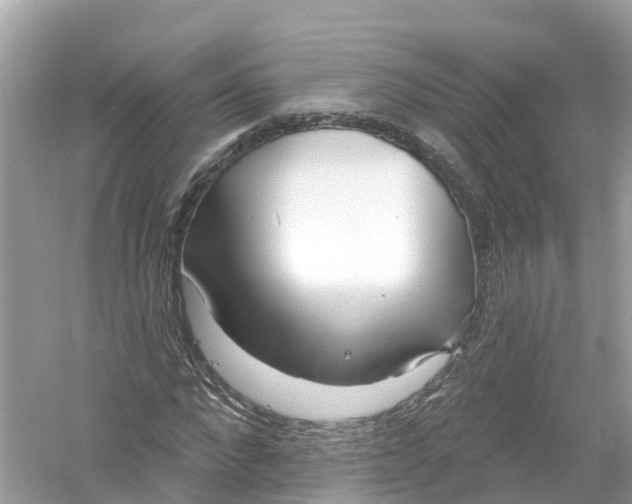 X0000053020872200508051224