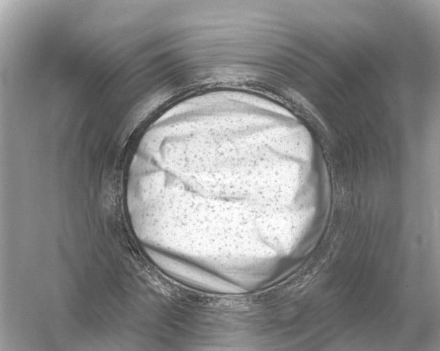 X0000053020874200508051224