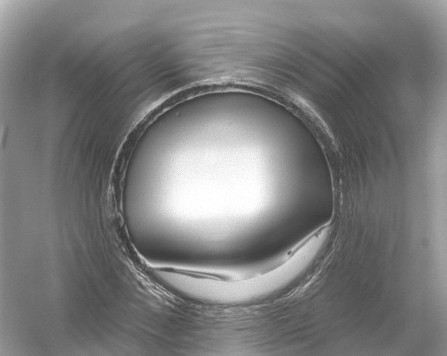 X0000053020876200508051224
