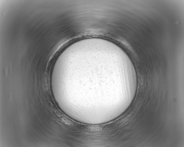 X0000053020878200508051224