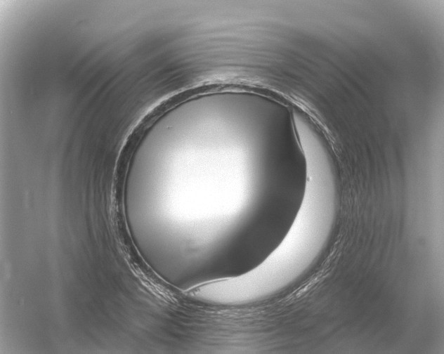 X0000053020880200508051224
