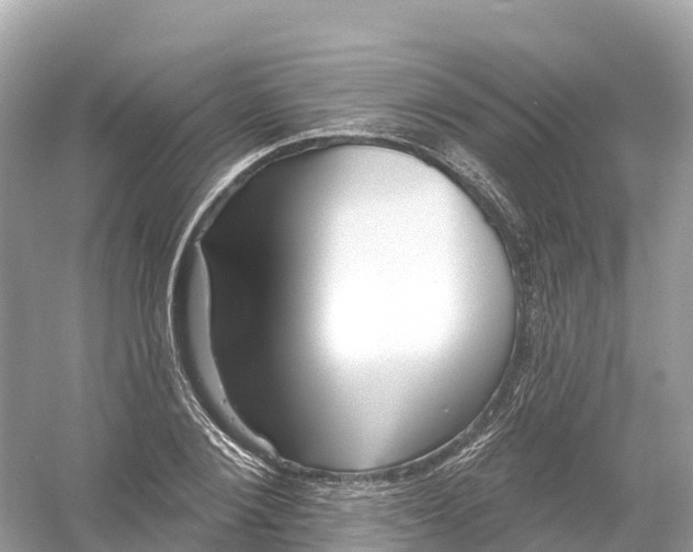 X0000053020884200508051224