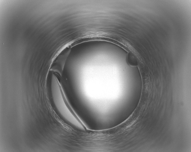 X0000053020885200508051224