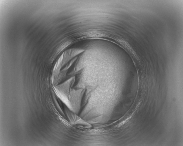 X0000053020889200508051224