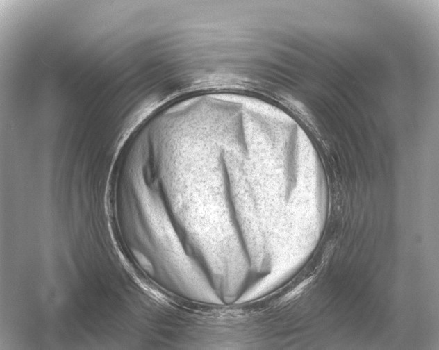X0000053020893200508051224