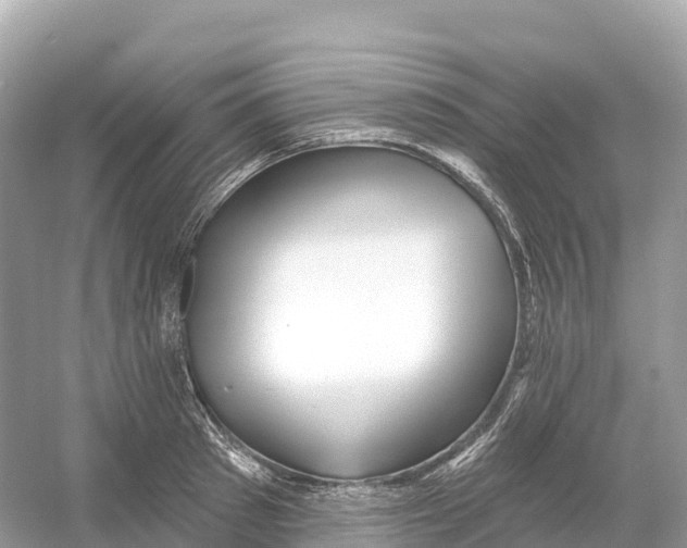 X0000053020897200508051223