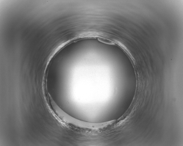 X0000053020901200508051223