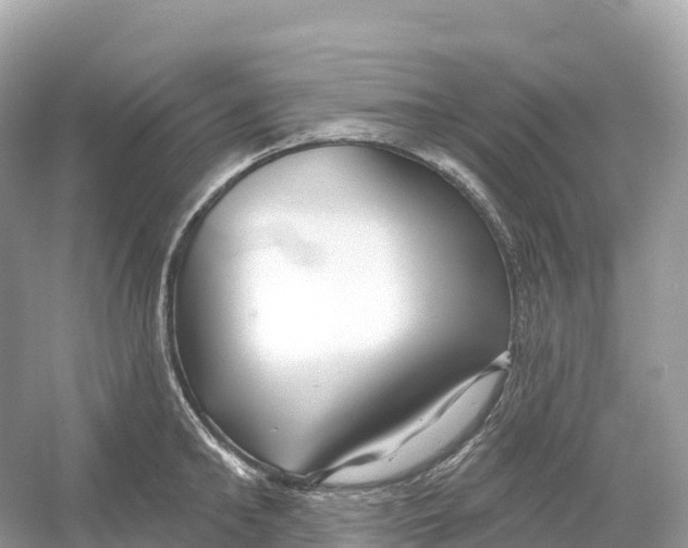 X0000053020902200508051223
