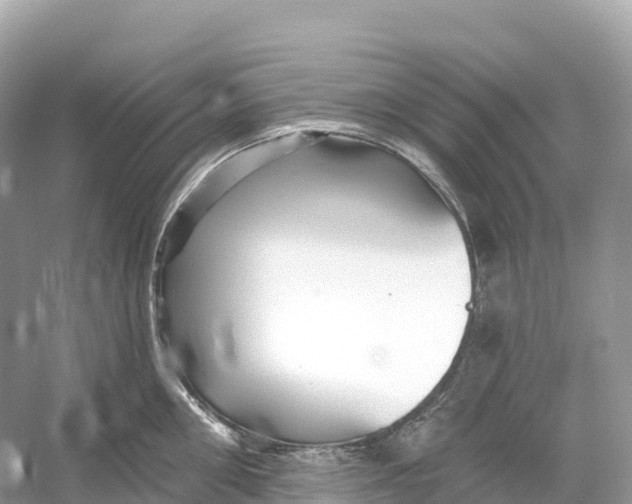 X0000053020906200508051223