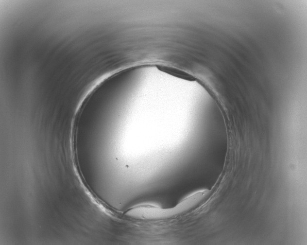 X0000053020910200508051223