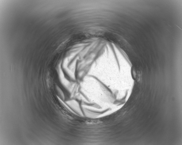 X0000053020915200508051222