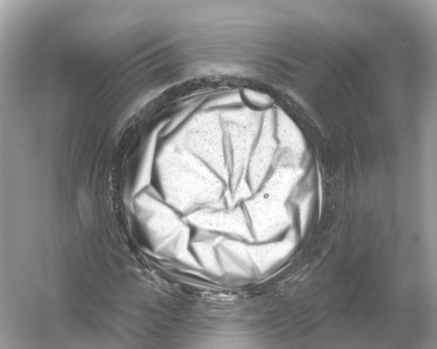 X0000053020919200508051222