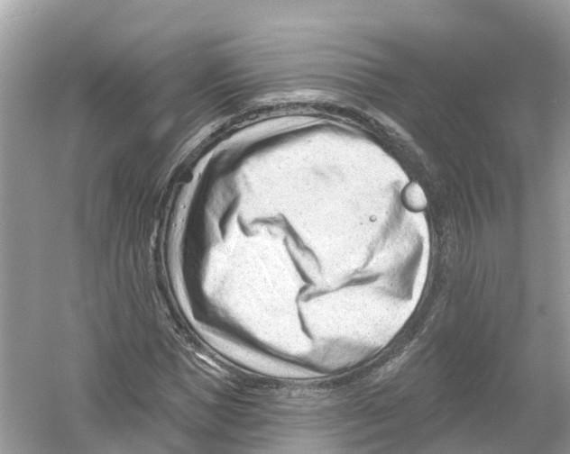 X0000053020921200508051223