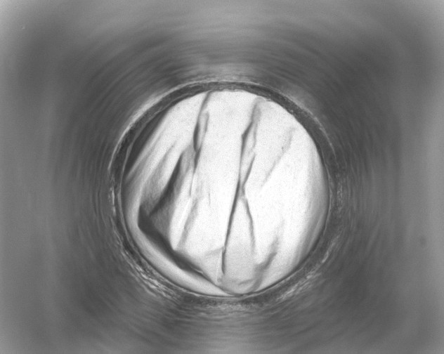 X0000053020925200508051223